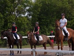 img-00411-538